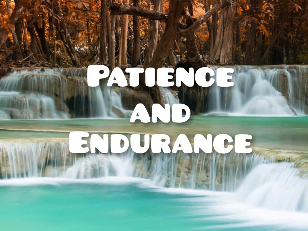 patience and endurance