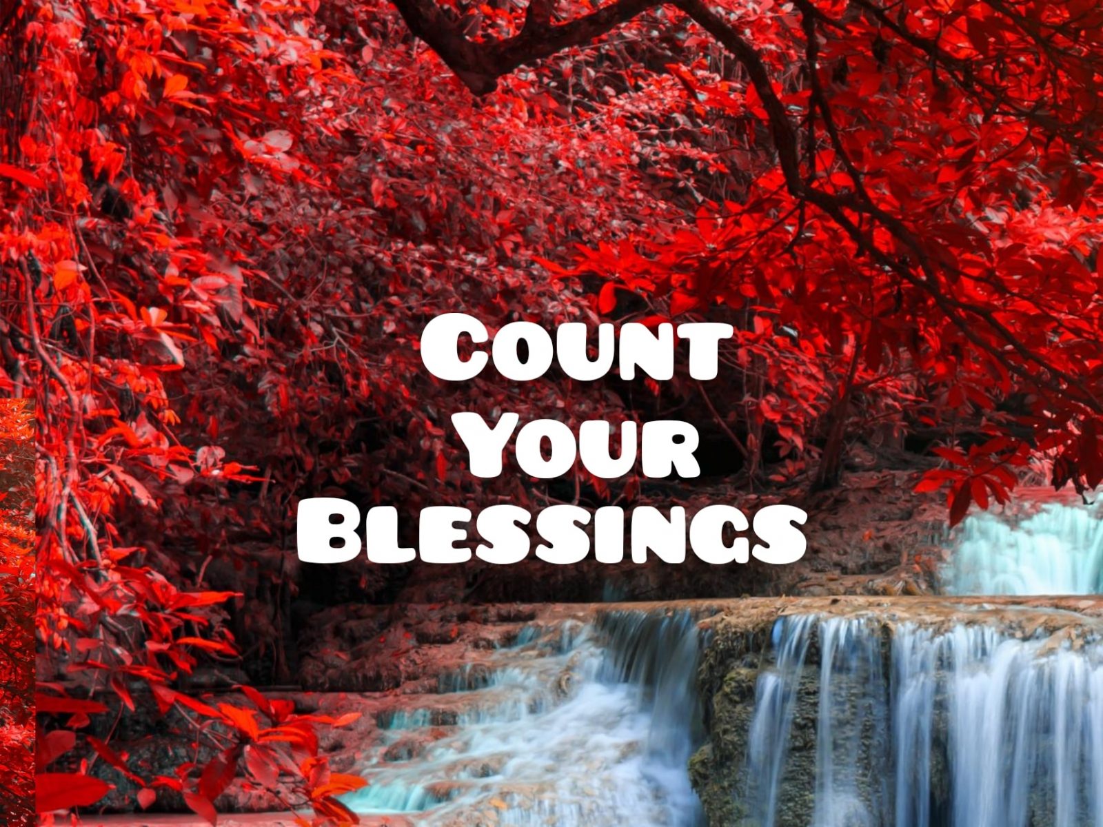 One of the ingredients of a recipe for happiness is to count the blessings.